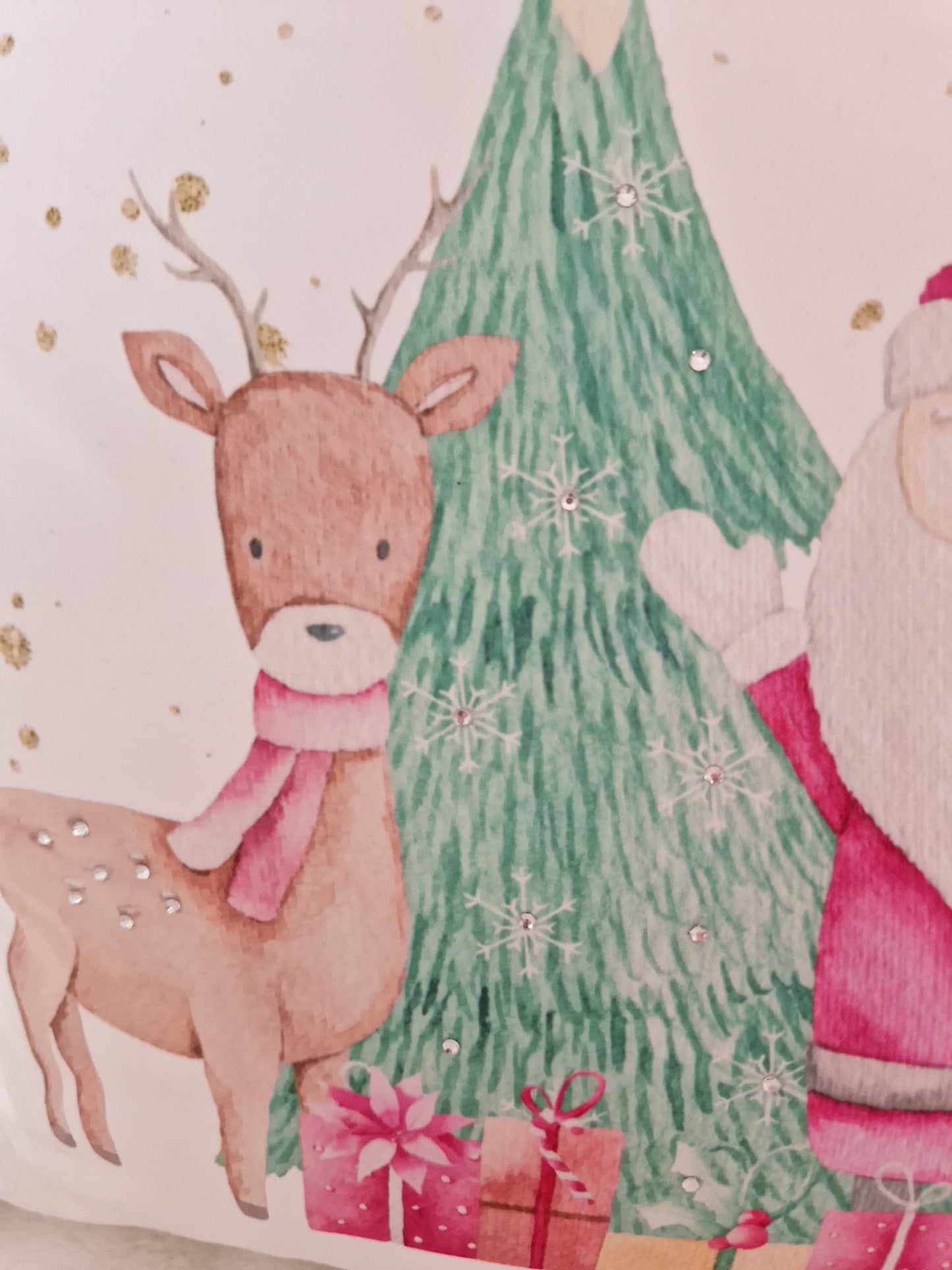 Santa cushion
